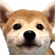 Č