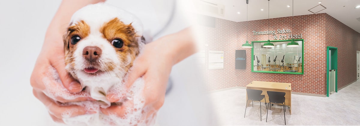 about-trimming-image