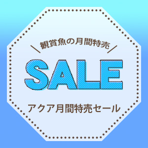 sale-info