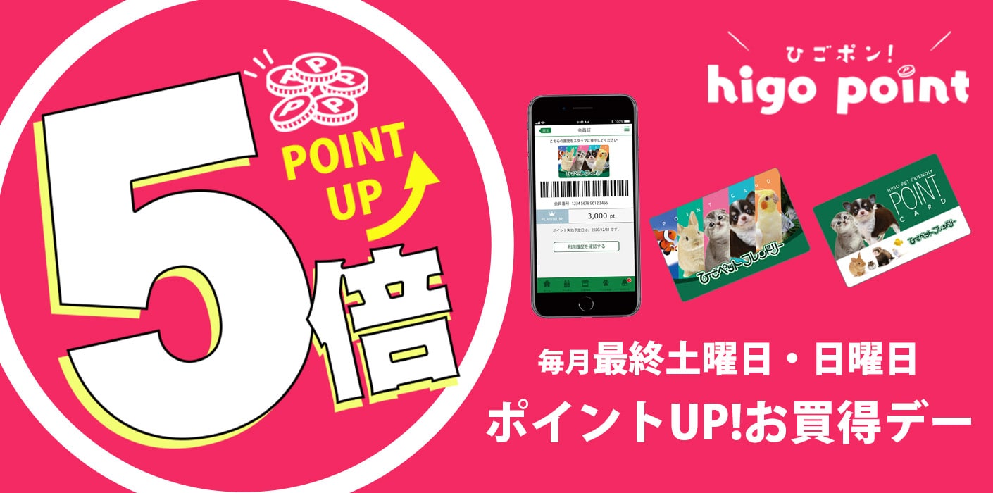 毎月最終土日・ポイント5倍デー