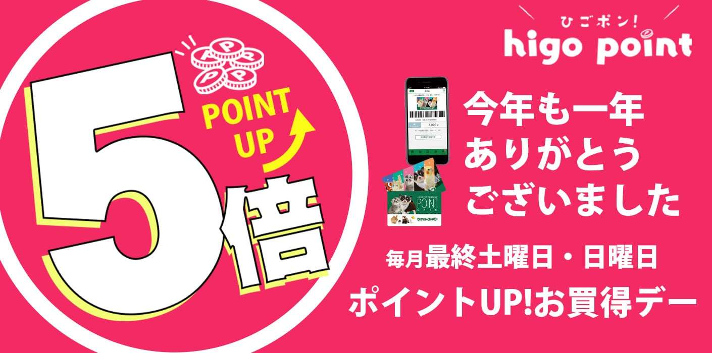 ポイント5倍デー