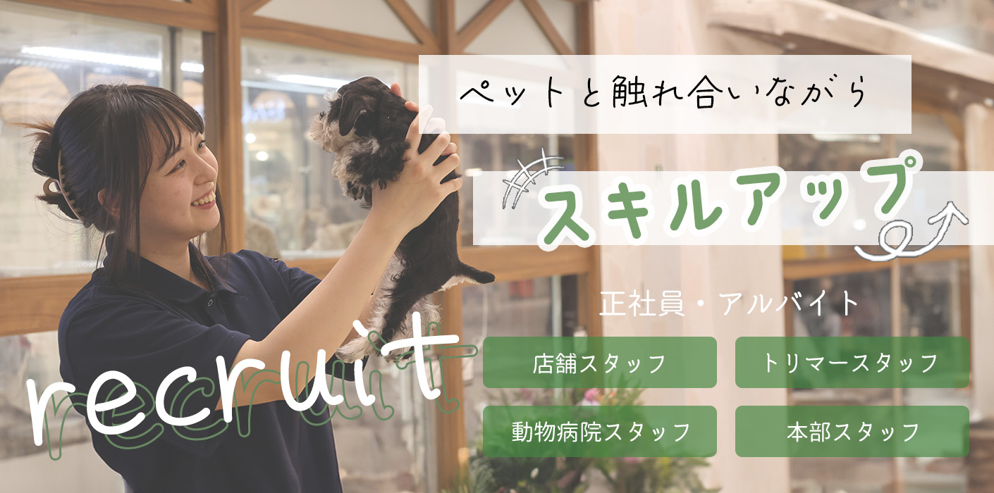 ひごペットフレンドリースタッフ募集中