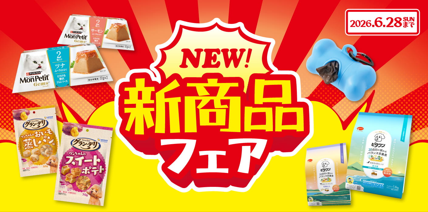 新商品フェア♪