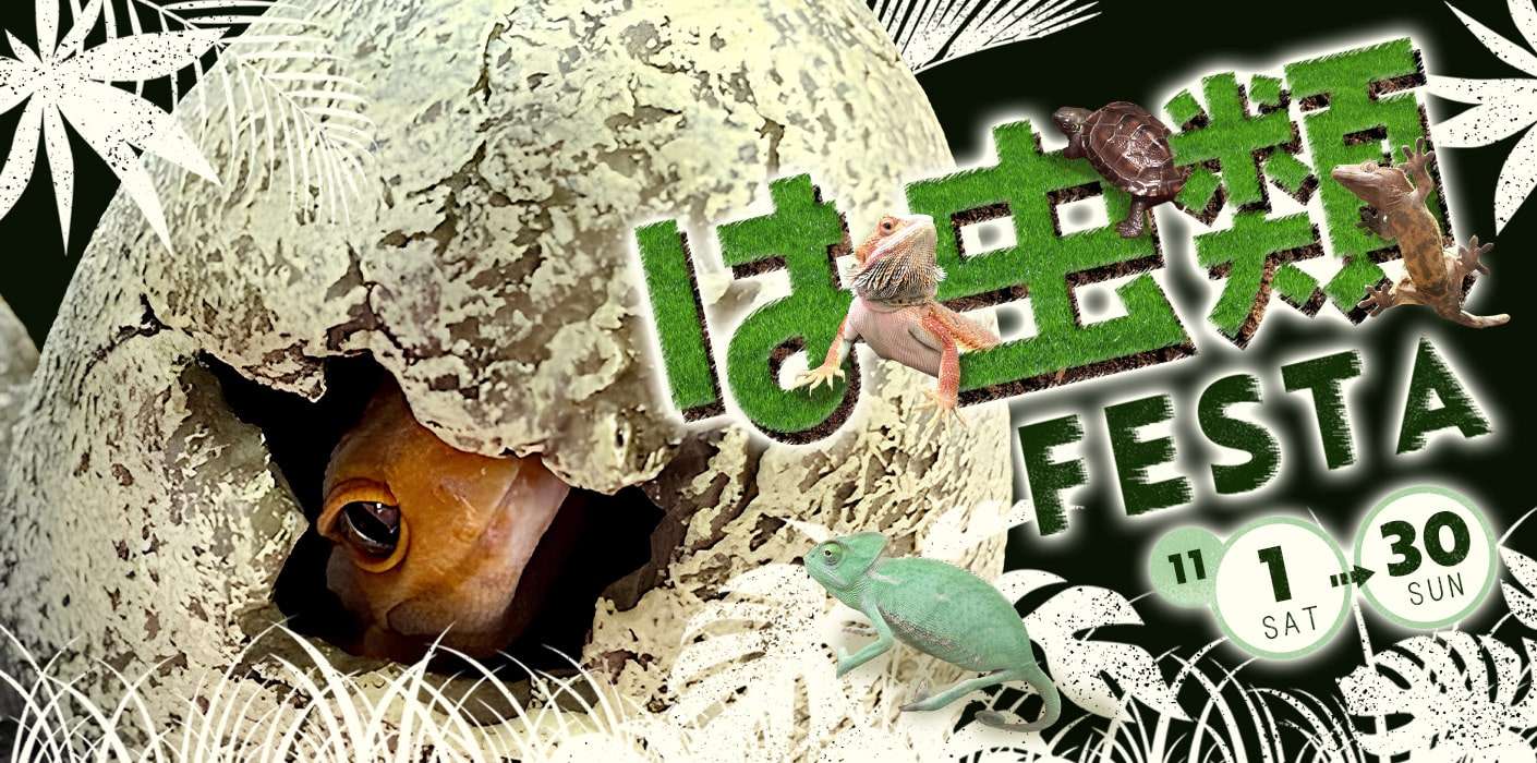 爬虫類フェスタ