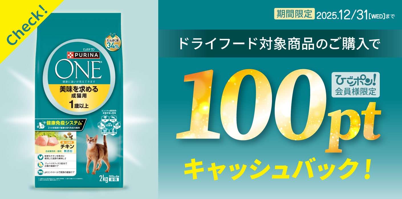 ワンキャットポイントバックキャンペーン