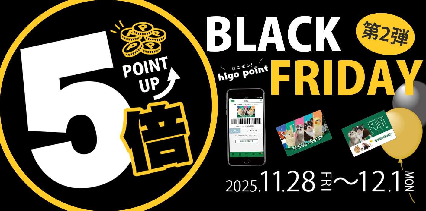 ブラックフライデー・ポイント5倍！