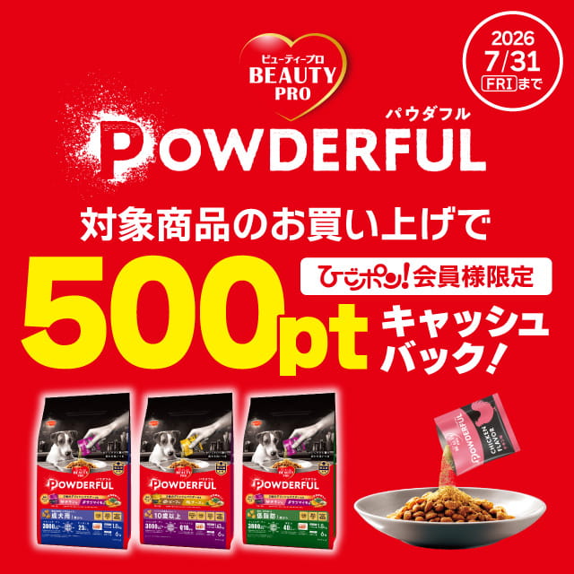 sale-info