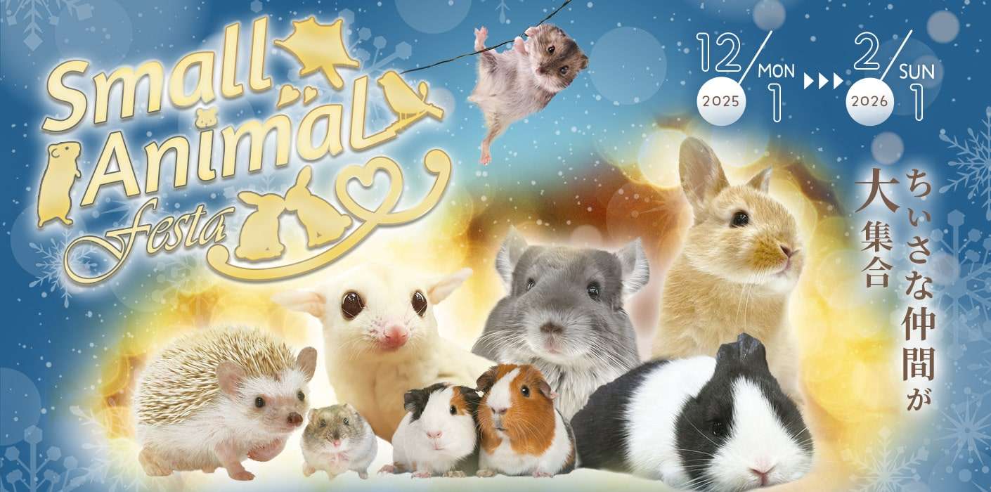 スモールアニマルフェスタ