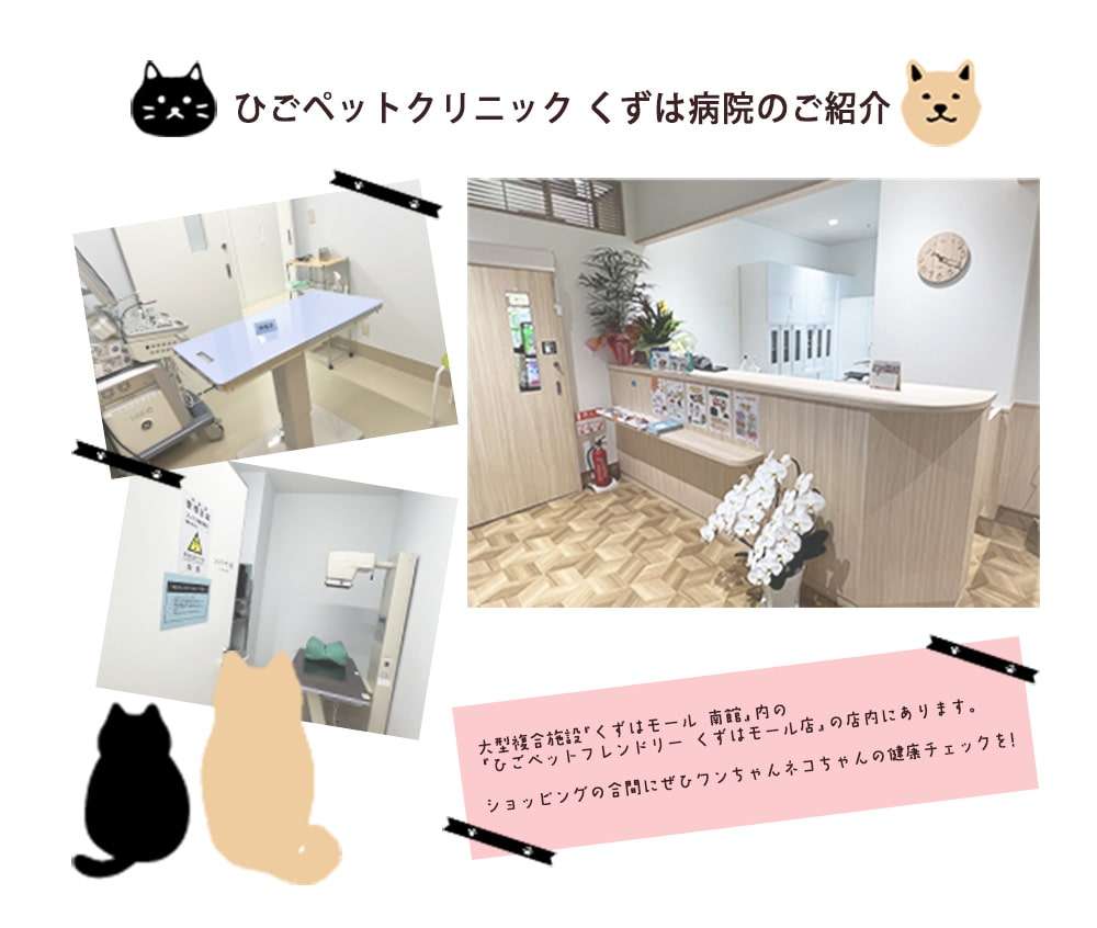 ひごペットクリニック くずは病院