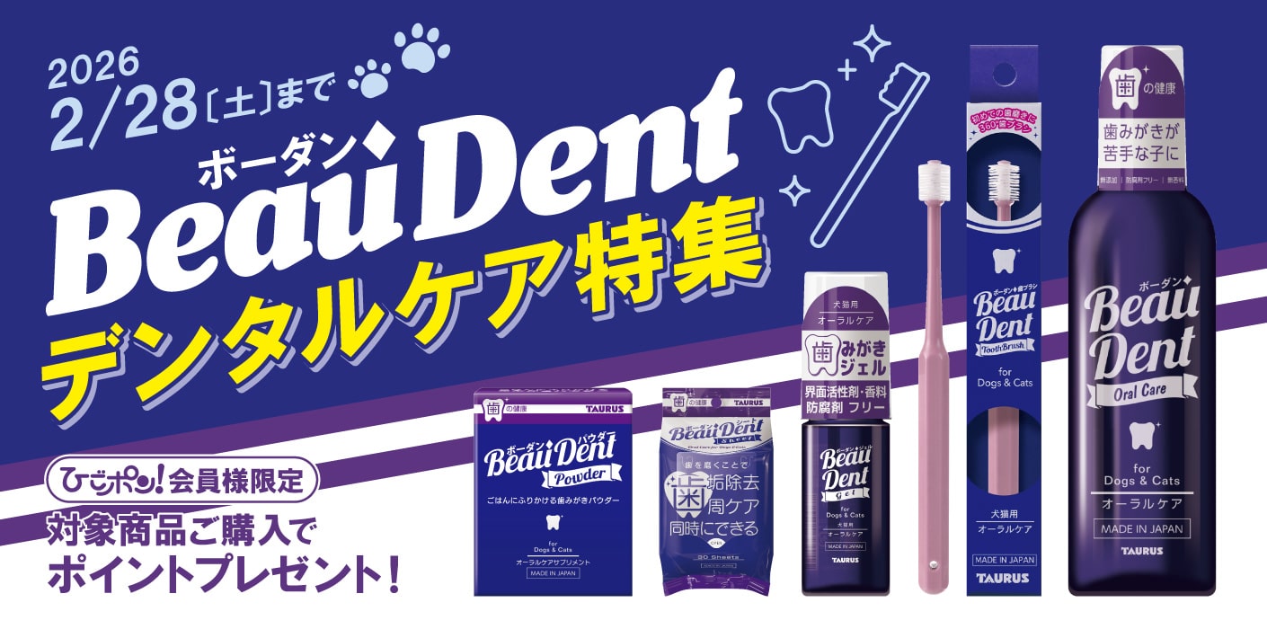 ボーダンデンタルケア製品でポイント還元！