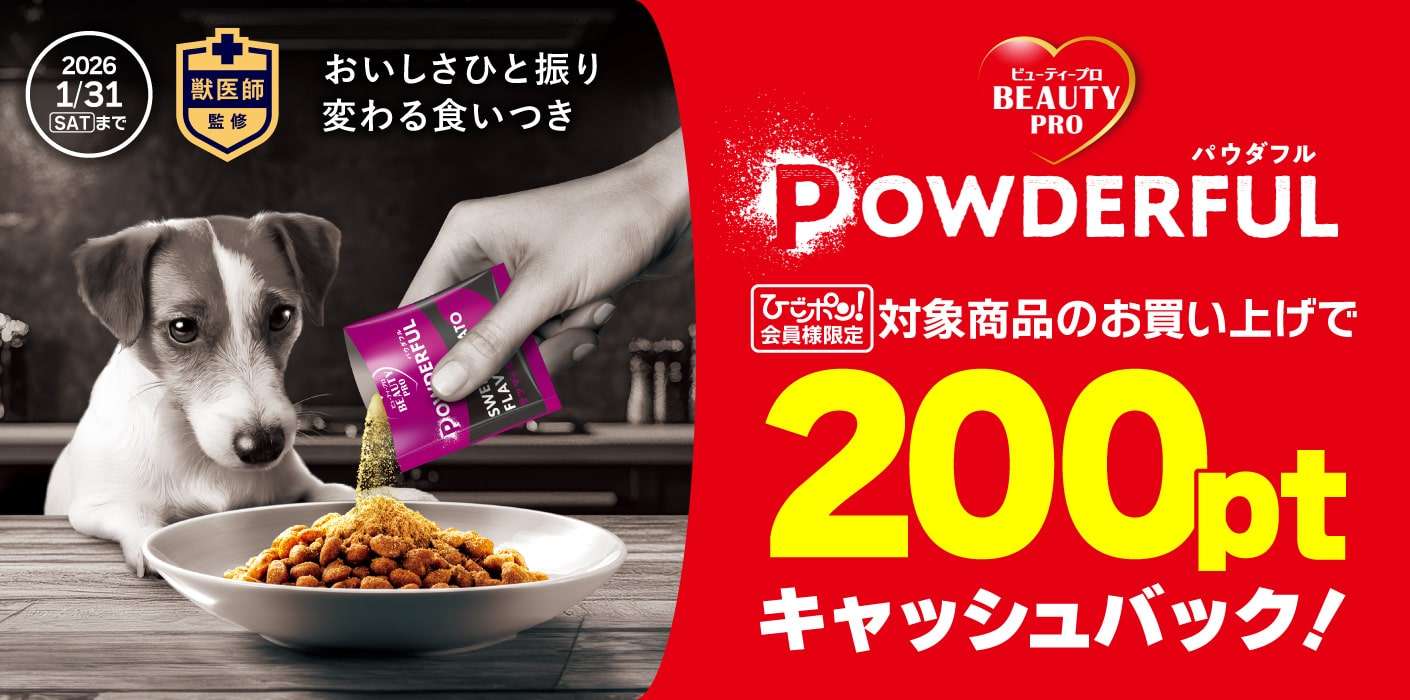 パウダフルポイントバックキャンペーン