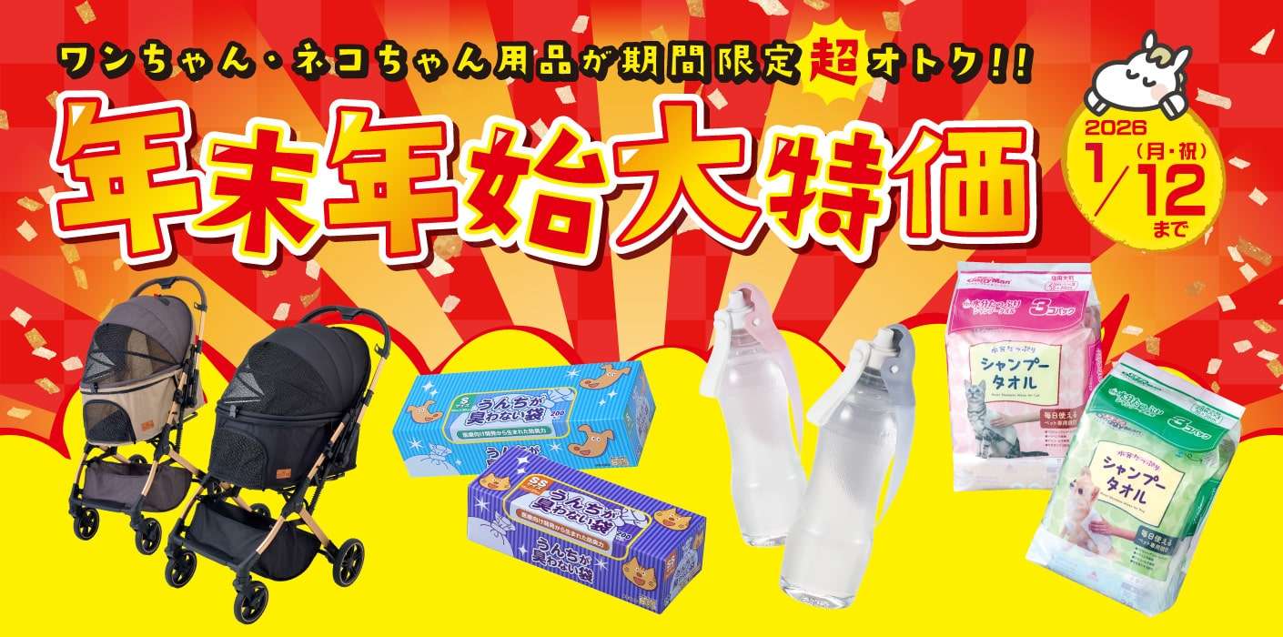 年末年始大特価セール開催！