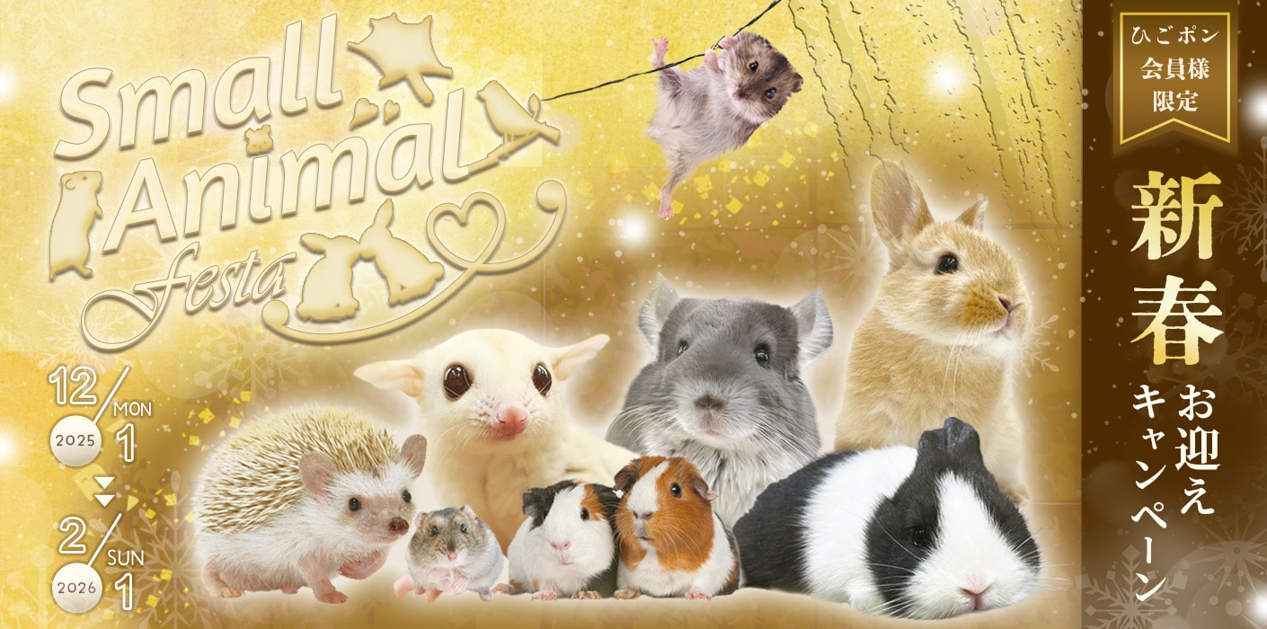 スモールアニマルフェスタ