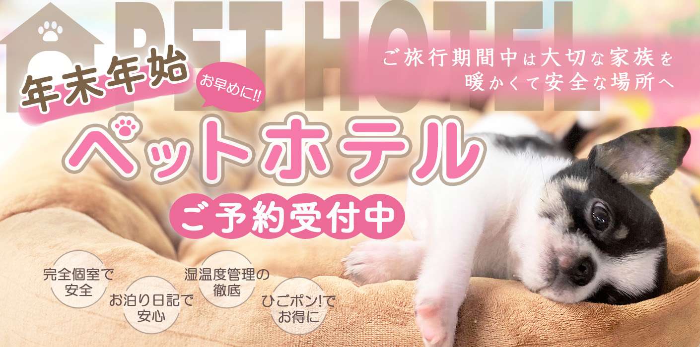 年末年始のペットホテルご予約受付中