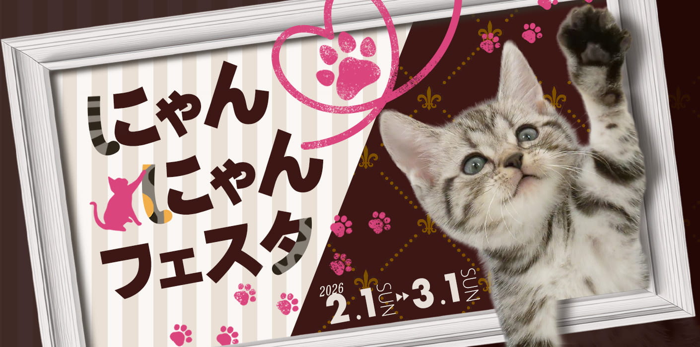にゃんにゃんフェスタ