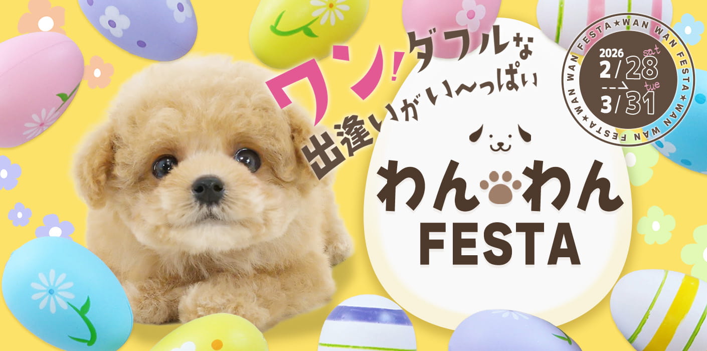 わんわんフェスタ