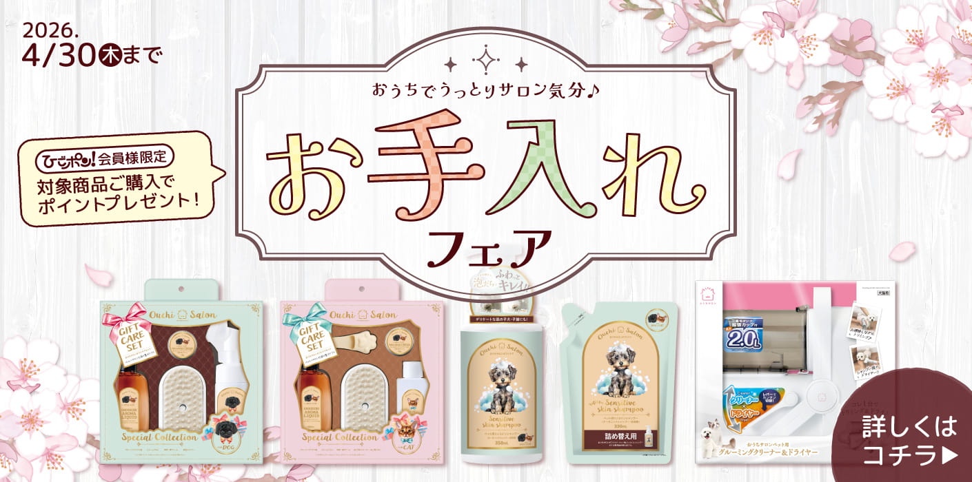 お手入れフェア♪