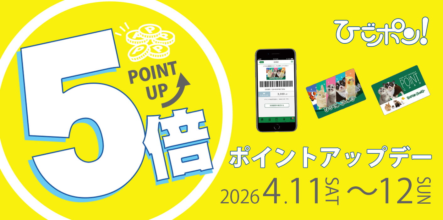 ワンワンデー・ポイント5倍デー