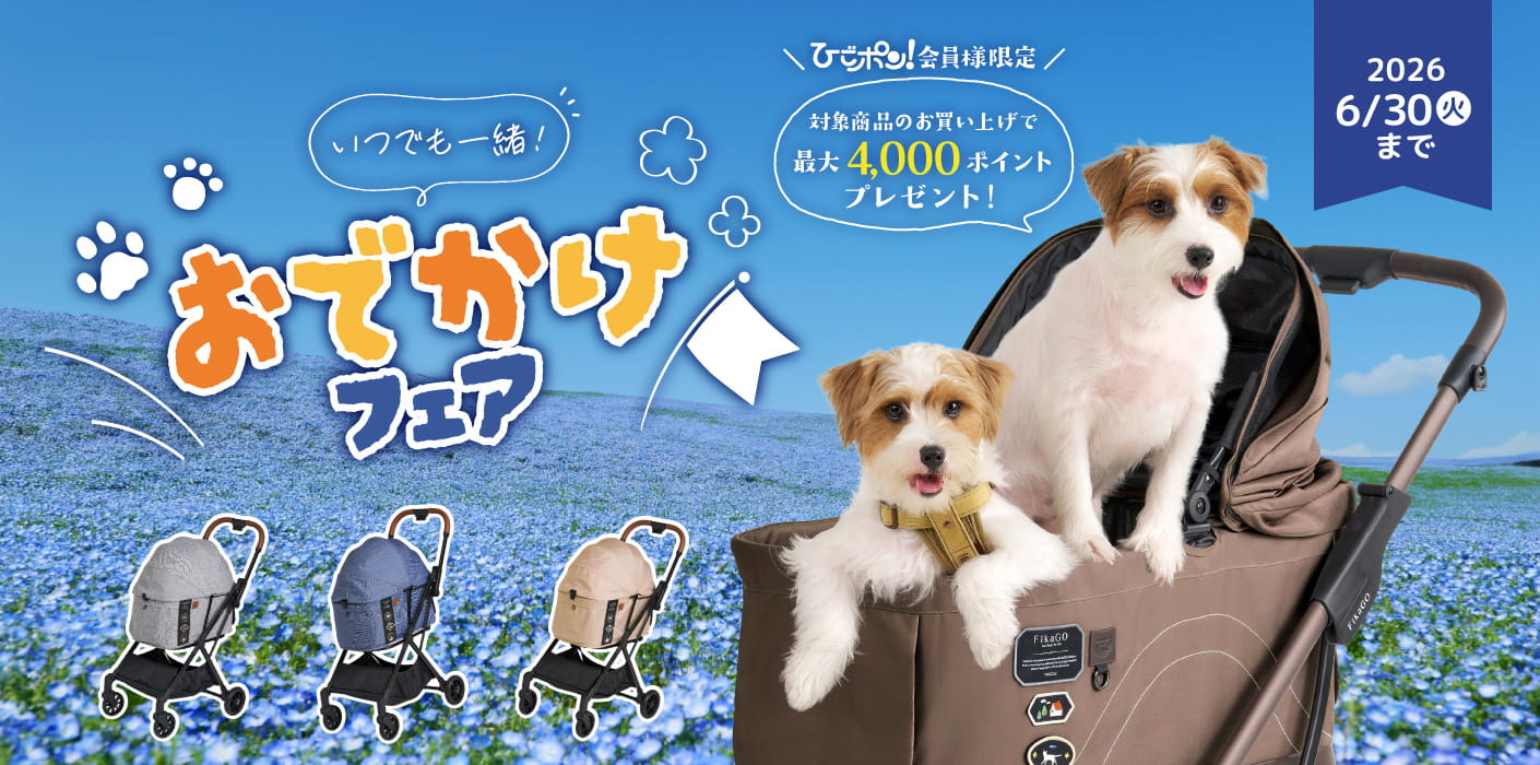 おでかけフェア♪