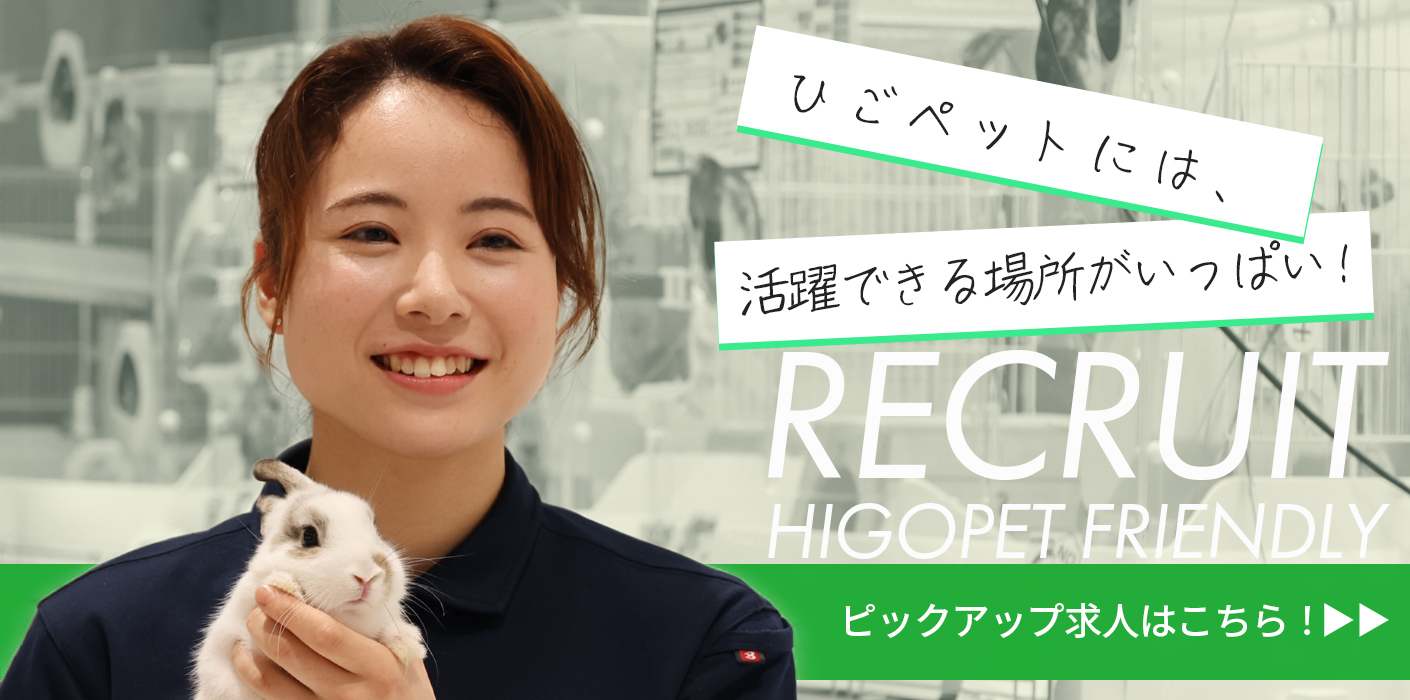 【人事部】ピックアップ求人ページPR