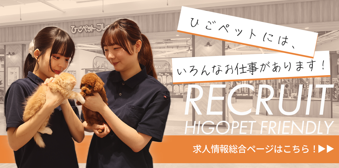 【人事部】求人情報総合ページPR