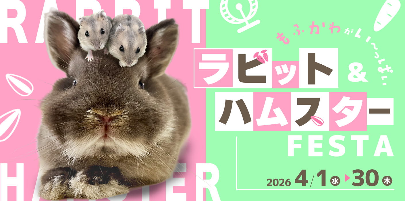 ラビット＆ハムスターフェスタ