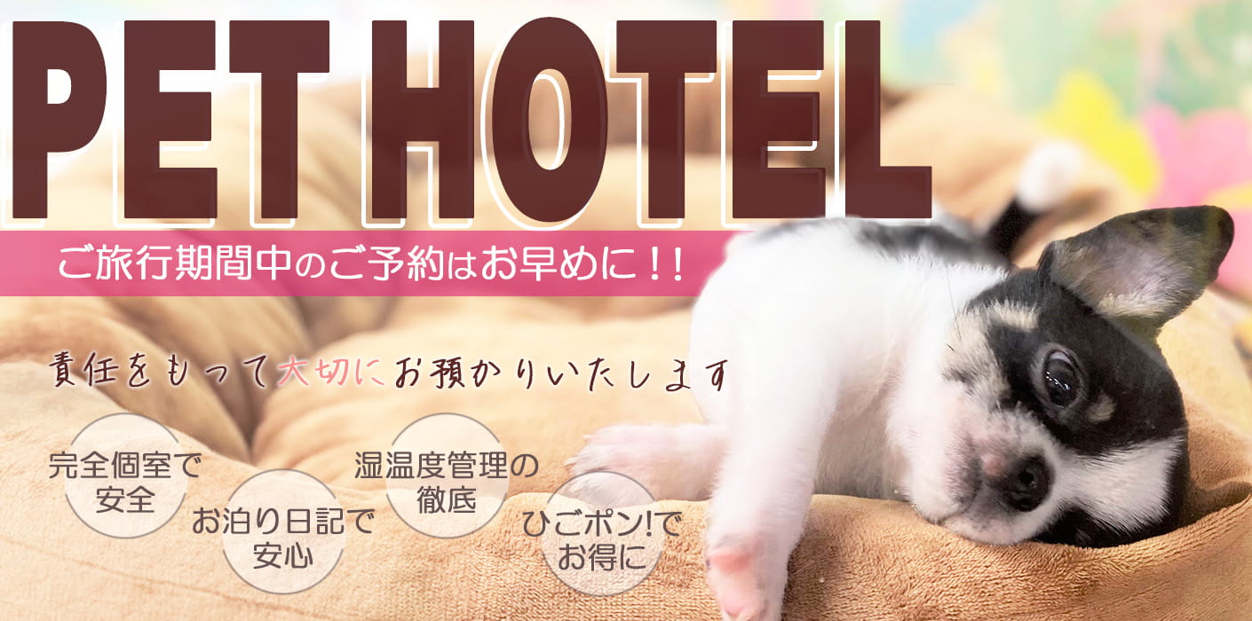 春休み・GWのペットホテルご予約受付中