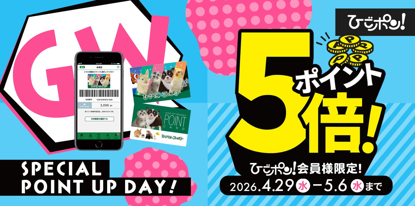ゴールデンウィーク！ポイント5倍デー開催