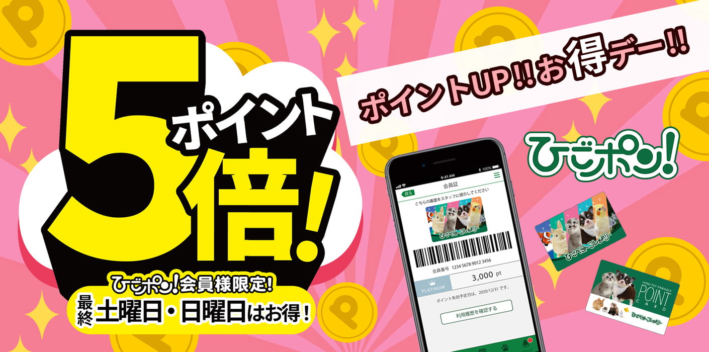 毎月最終土日・ポイント5倍デー