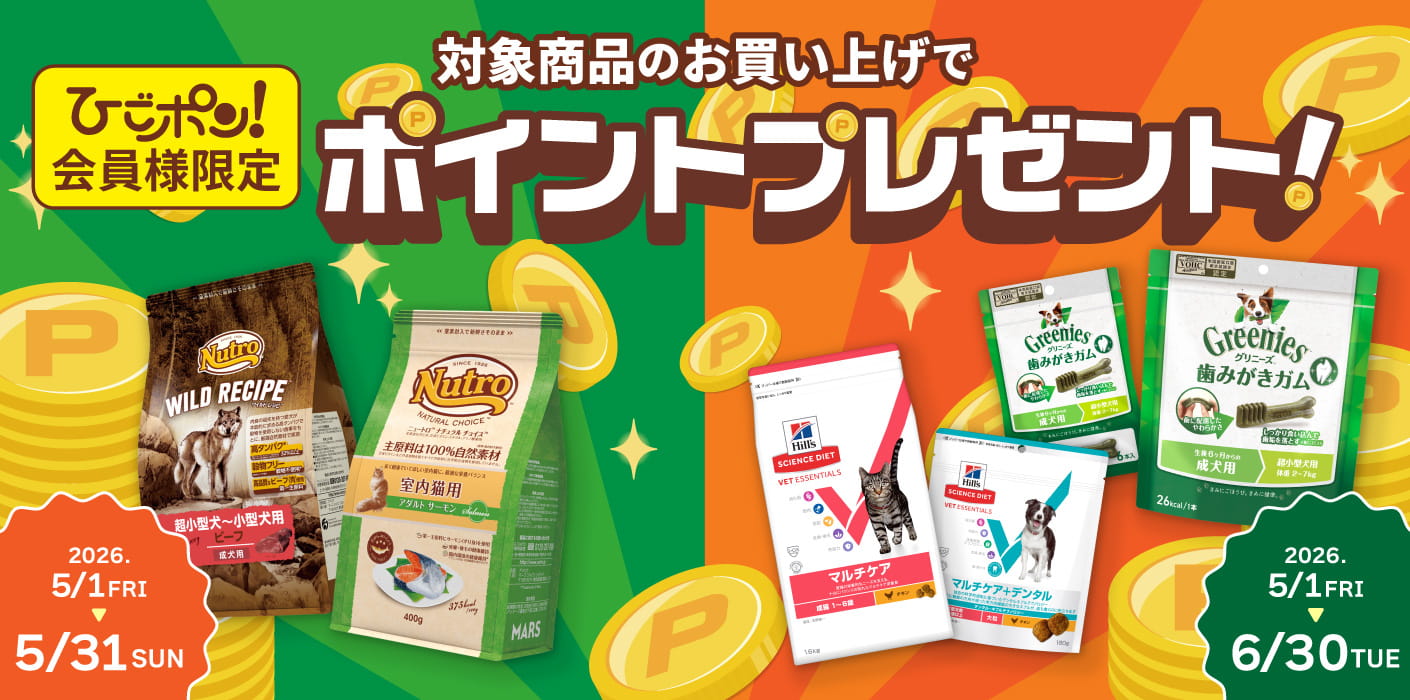 ポイントプレゼントキャンペーン