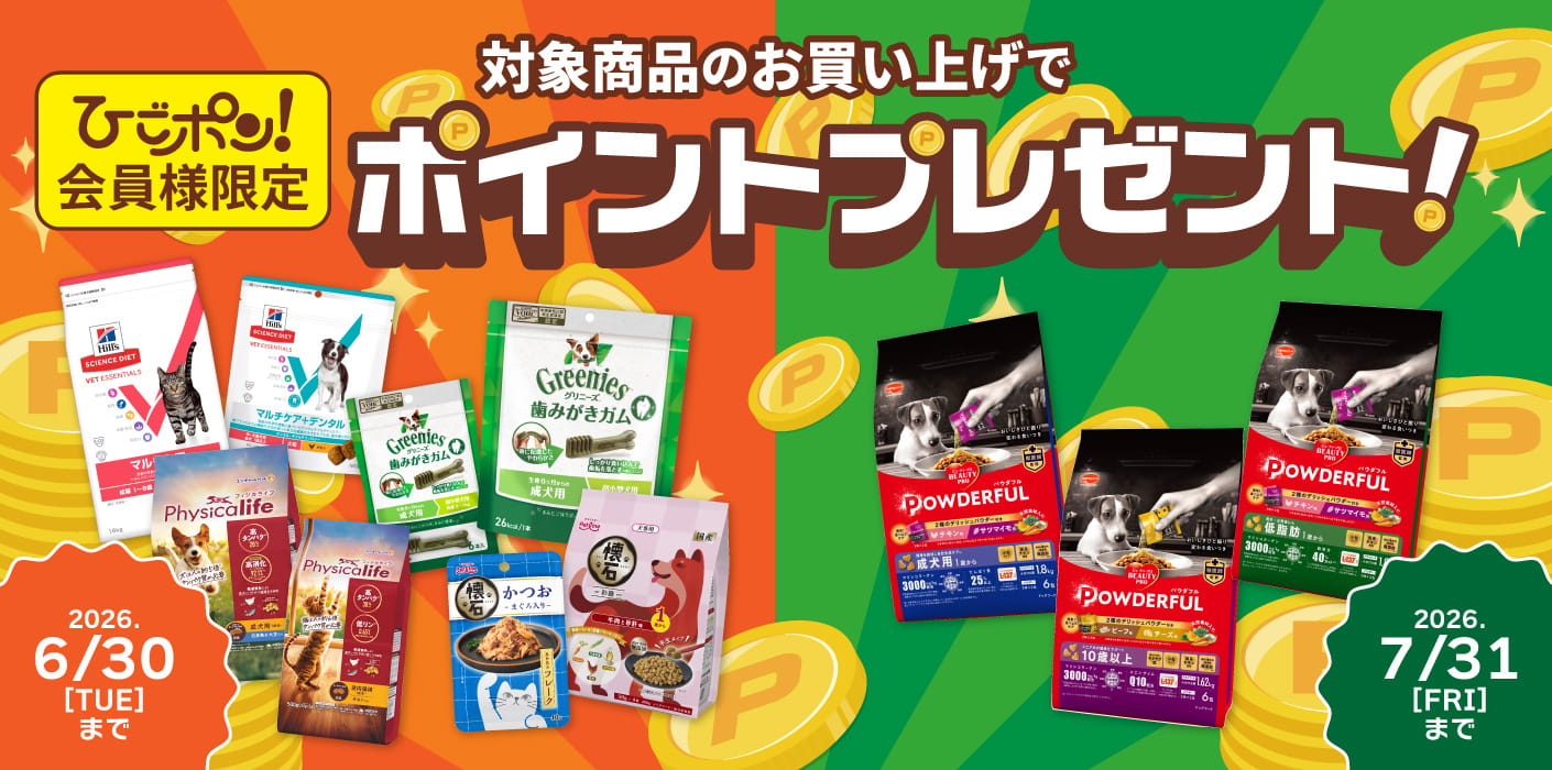 ポイントプレゼントキャンペーン