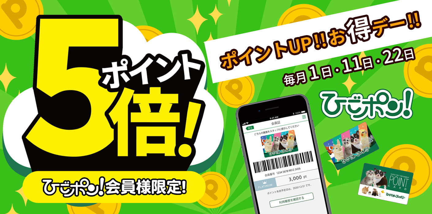 毎月1日11日22日・ポイント5倍デー