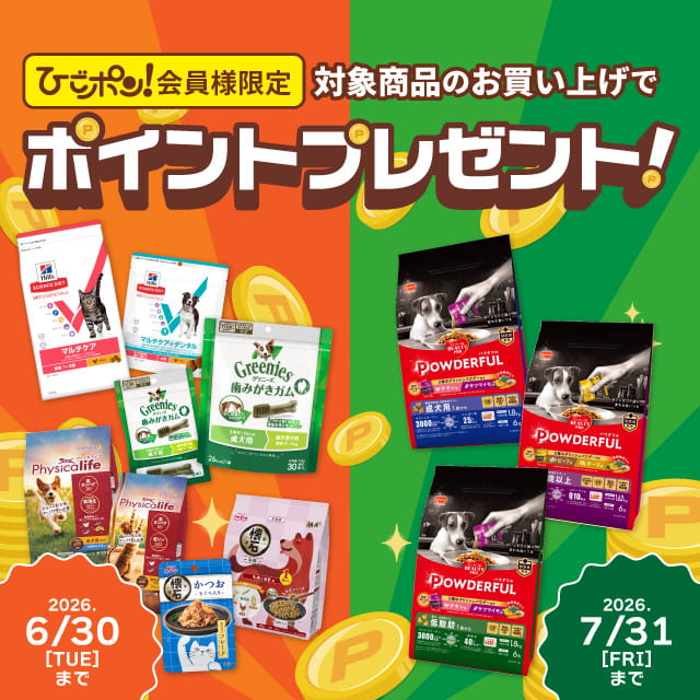 sale-info