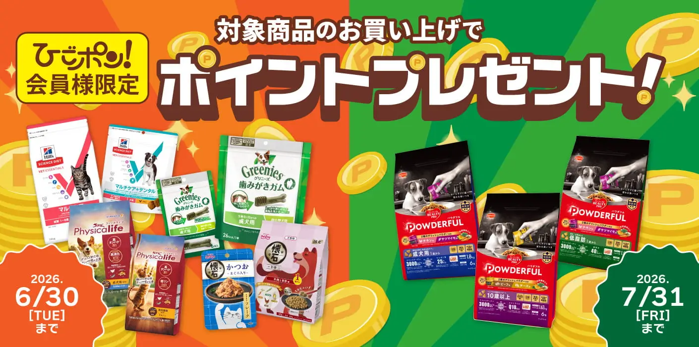 ポイントプレゼントキャンペーン