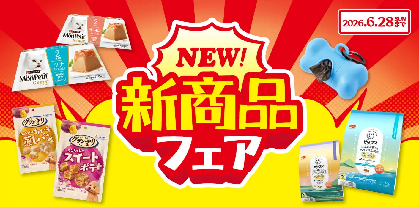 新商品フェア♪