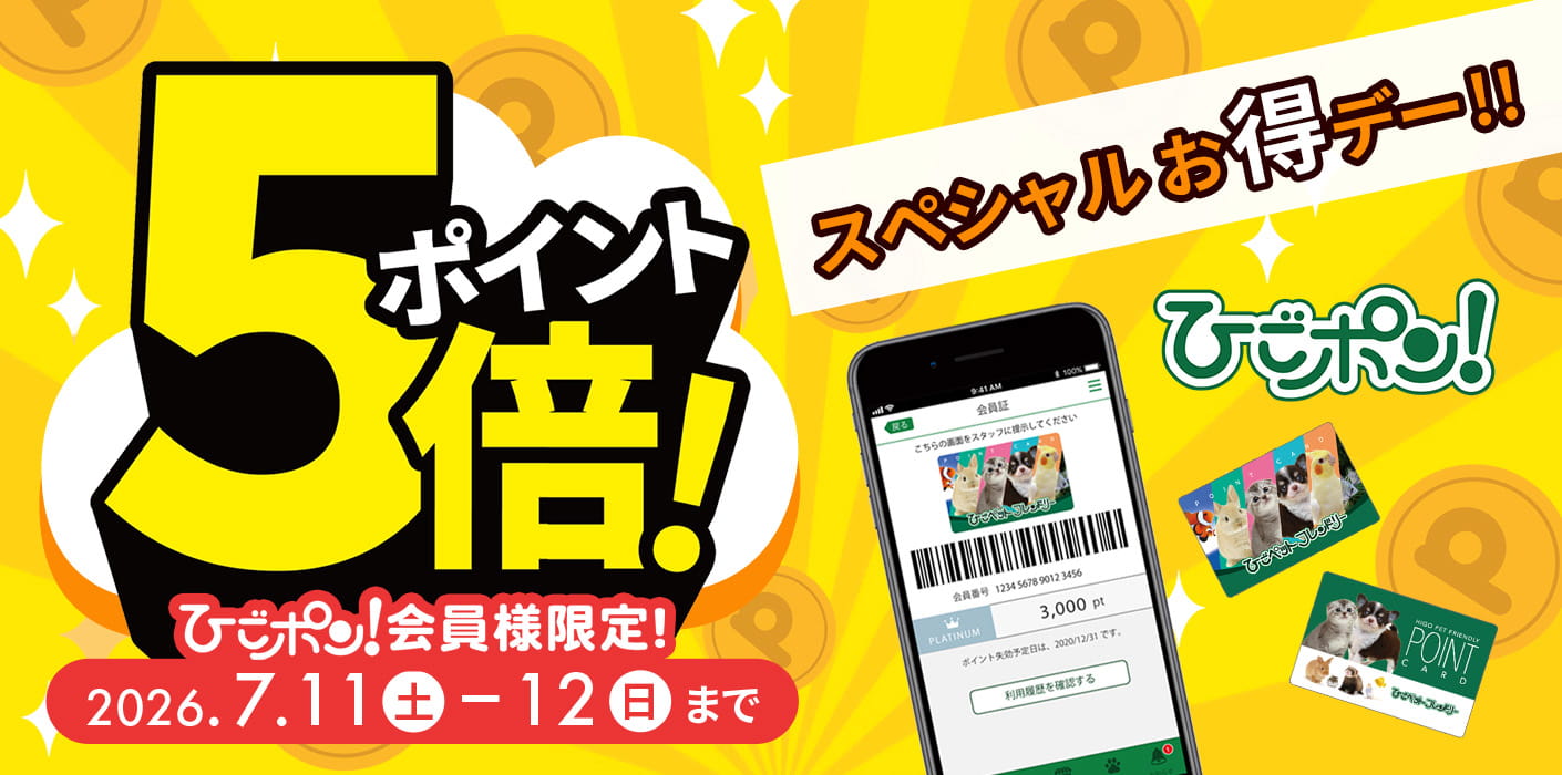 ワンワンデー・ポイント5倍デー