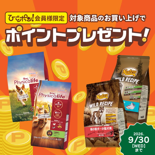 sale-info