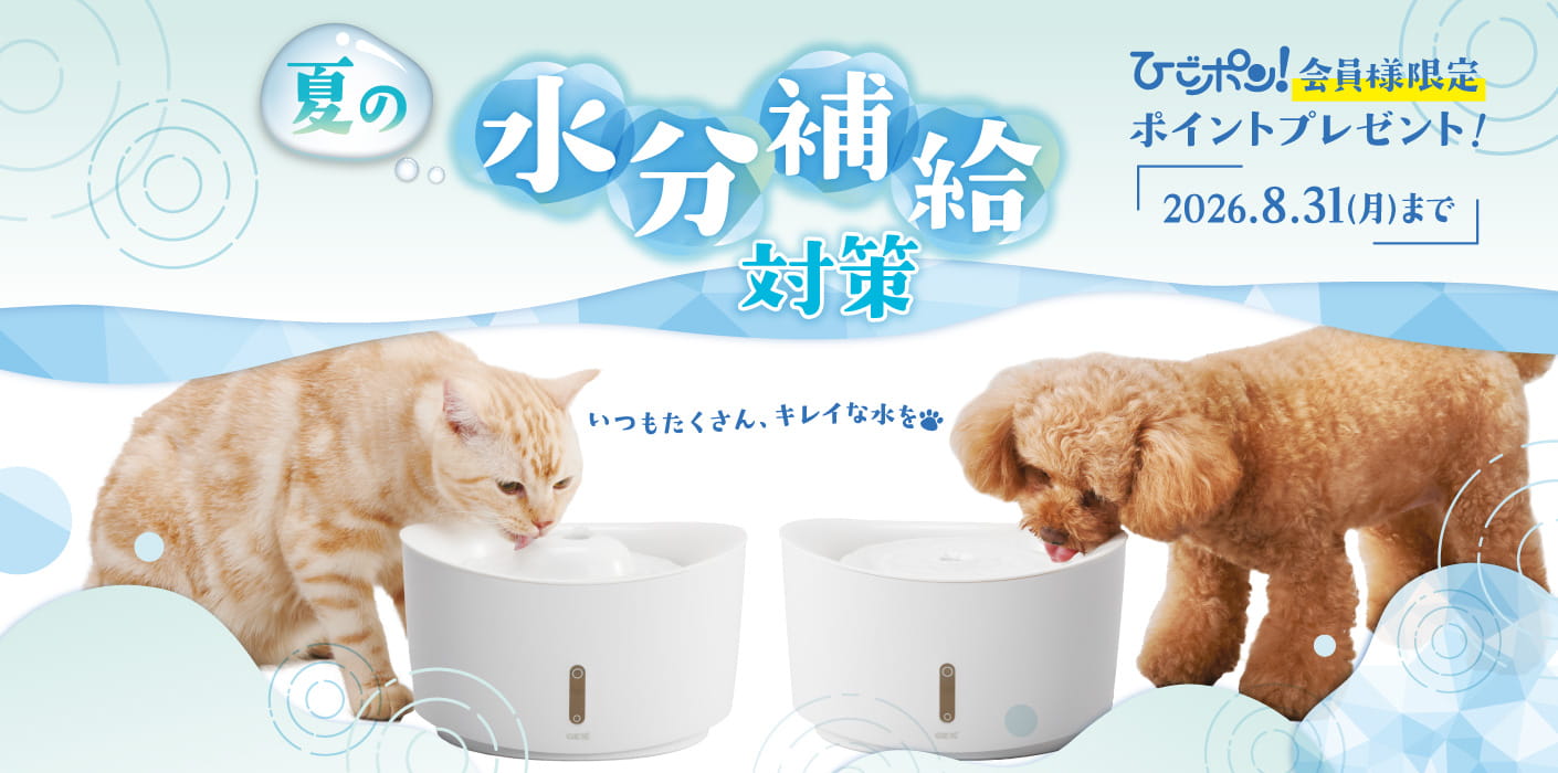 夏の水分補給対策！
