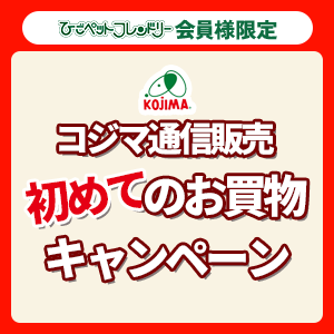 sale-info