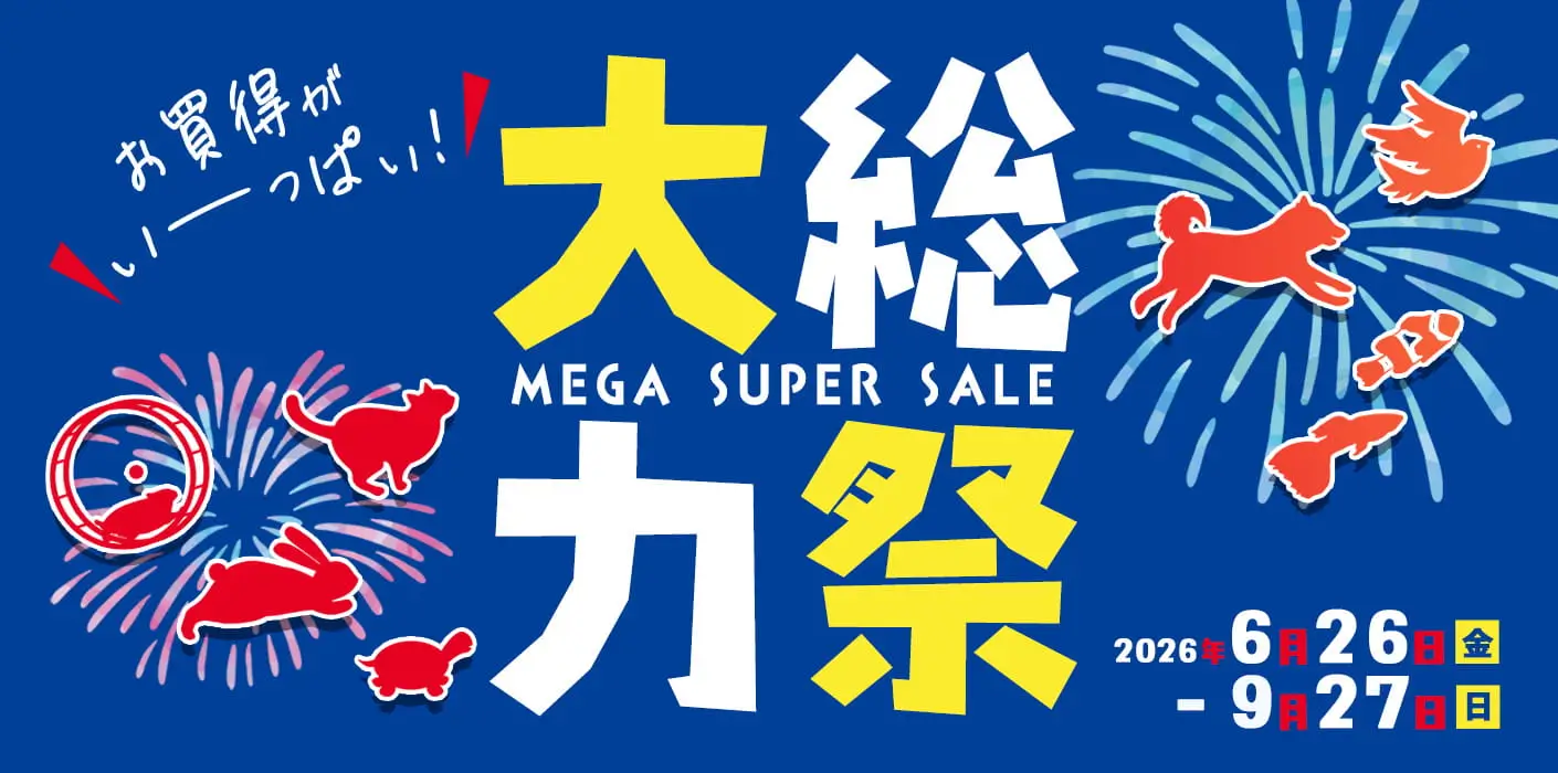 大総力祭セール開催！