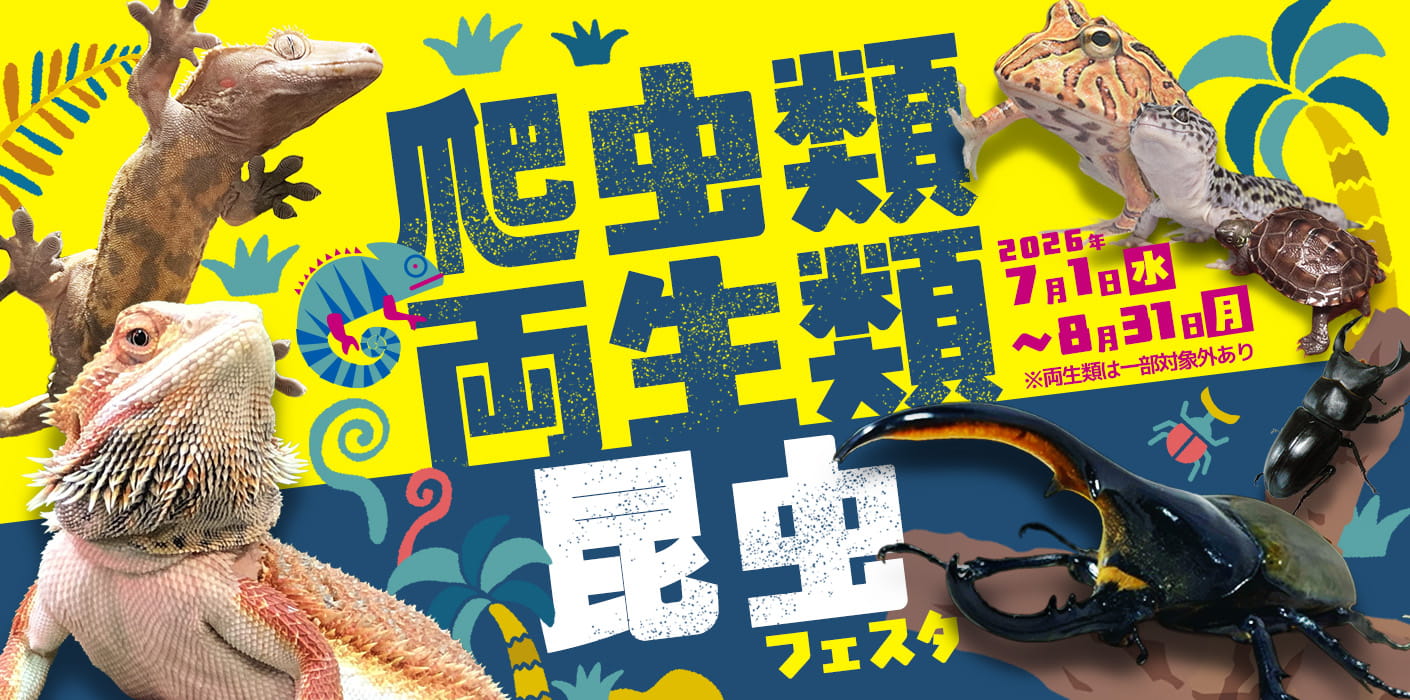 爬虫類・両生類・昆虫フェスタ20260701