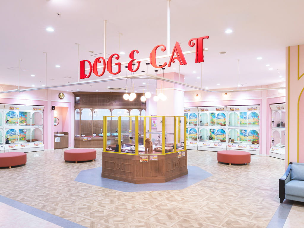 shop_image