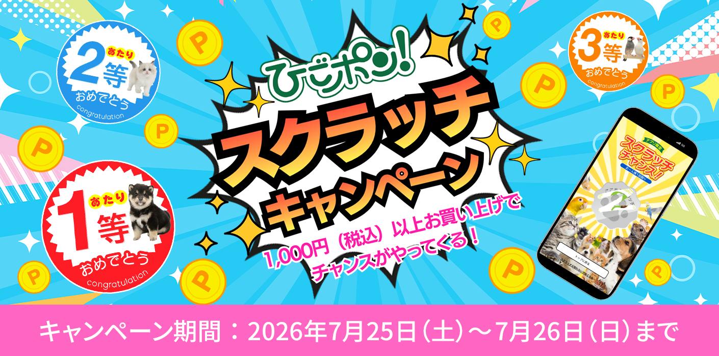 ひごポン！スクラッチキャンペーン