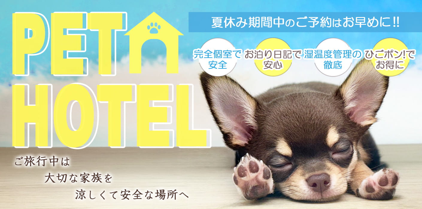 夏休みペットホテル予約受付中