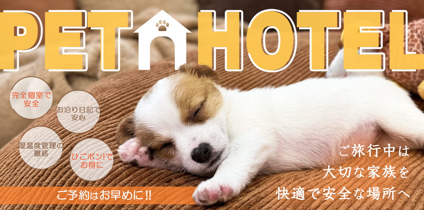 ペットホテル予約受付中