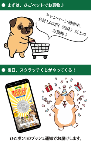 ひごポン！スクラッチキャンペーンのご紹介