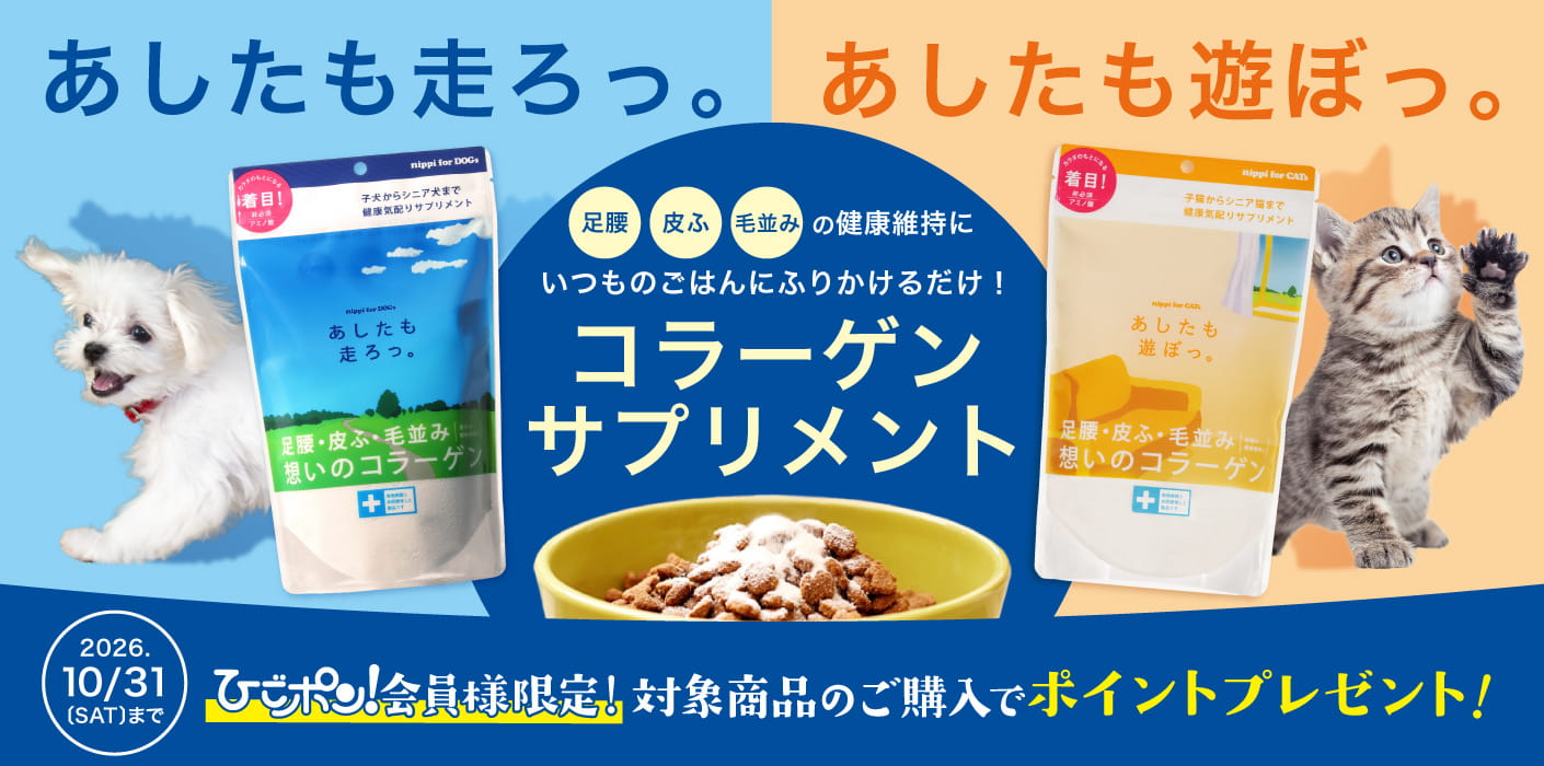ニッピコラーゲンキャンペーン
