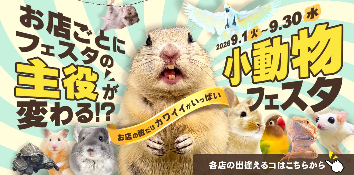 9月店舗別小動物フェスタ