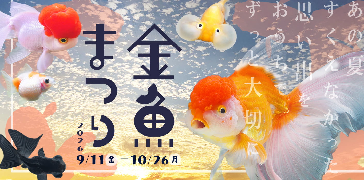 金魚祭り