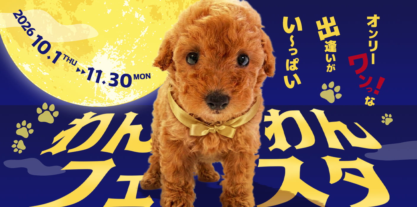 わんわんフェスタ